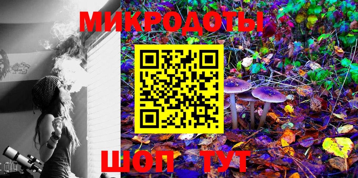 Отрадное  Псилоцибиновые грибы Cubensis  Вход с VPN 