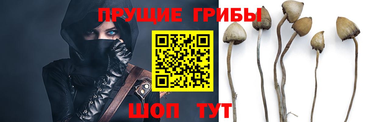 Галлюциногенные грибы мухоморы Отрадное